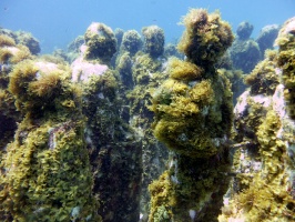 Sculptures in the MUSA IMG 3424